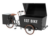 Wielofunkcyjny rower trójkołowy Cargo - przyjazne dla użytkownika niestandardowe logo