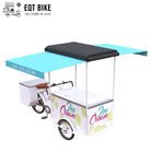 EQT Ice Cream Bike Tricycle Cargo For Street Business Sale rower zamrażarki rower elektryczny do zimnych napojów
