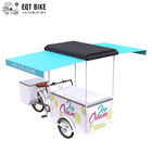 EQT Ice Cream Bike Tricycle Cargo For Street Business Sale rower zamrażarki rower elektryczny do zimnych napojów