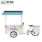 EQT 138L Lodówka Lodówka Trójkołowy rower towarowy na sprzedaż Wysokiej jakości ładowanie od przodu pedał wspomagający zamrażarka