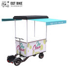 EQT 138 litrów miękkie rowery do lodów na sprzedaż koszyk z zamrażarką letnie wakacje Cargo zamrażarka rower automat do lodów elektryczny