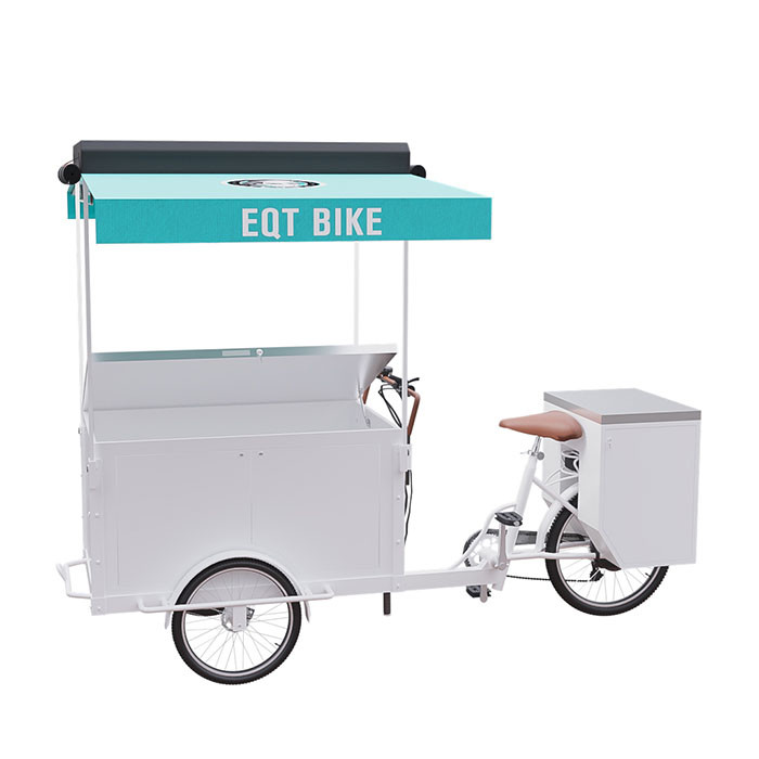 Elektryczny rower trójkołowy Cargo Customized Brand Wygodna obsługa dla jednej osoby